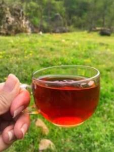 سلام عصرتون زیبا ☕☕