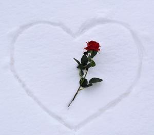 سلام‌زندگی❣