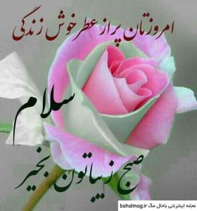 صبحتون بخیر شادی