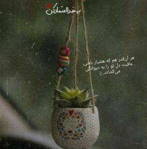 به خدااعتمادکن🌹🌹🌹