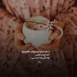 آمین🌱