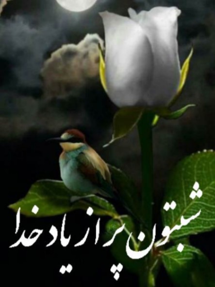 سعید