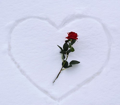 سلام‌زندگی❣