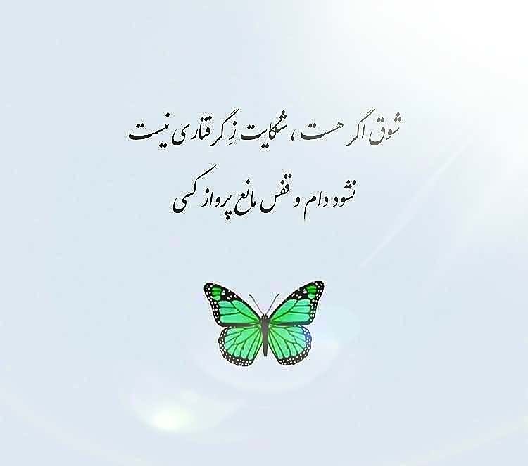 خداوند
