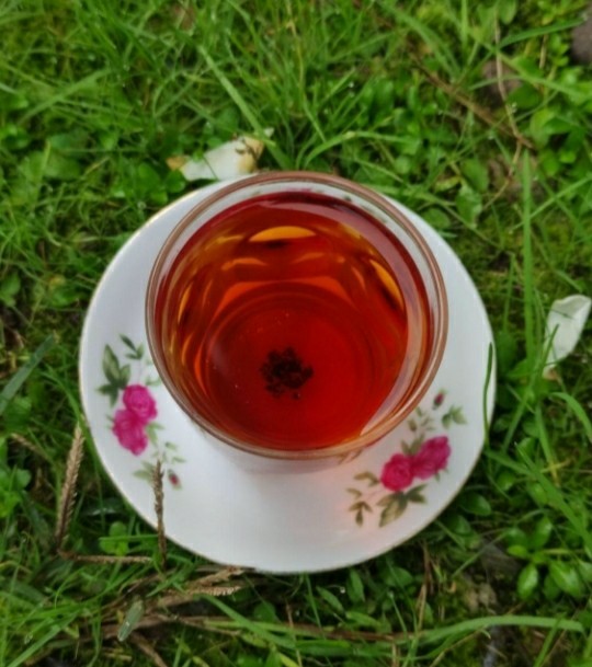 بفرمایید 
