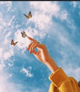 راهنمایی👇