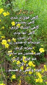 سخن ناب