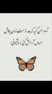 🌳🌳🌳🌳آدم  اَمن  ....