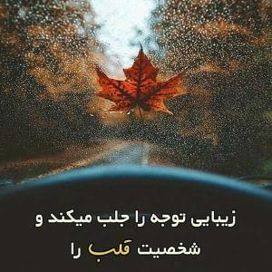 زیبای توجه را جلب ..