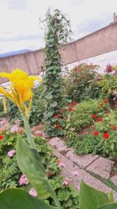 🌳🪵🍃

خدایا، شکر برای نفس کشیدن، برای قلبی که می‌تپد، 
