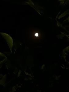 تو چه زیبای ماه من🌚🌙