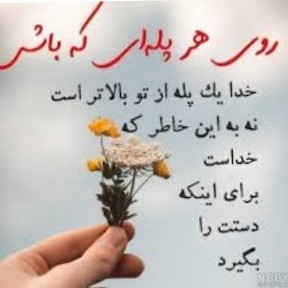 🌸🌸