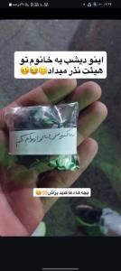 خدایا خداوندا دعا میکنم او با او ازدواج کند