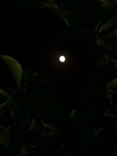 تو چه زیبای ماه من🌚🌙