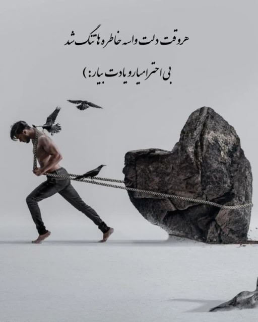 سلام به گل‌های عکاس خونه 