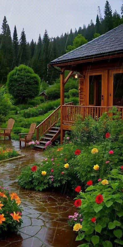 کلبــه ای با نغمه ی گیتار می خواهد دلم
🚶‍♀️🚶‍♀️