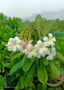 عصردوستان بخیر🦋