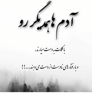متن ناب و طلایی☘️