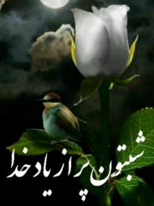 شب بخیر عزیزم انشاالله همیشه شاد باشی انشاالله 