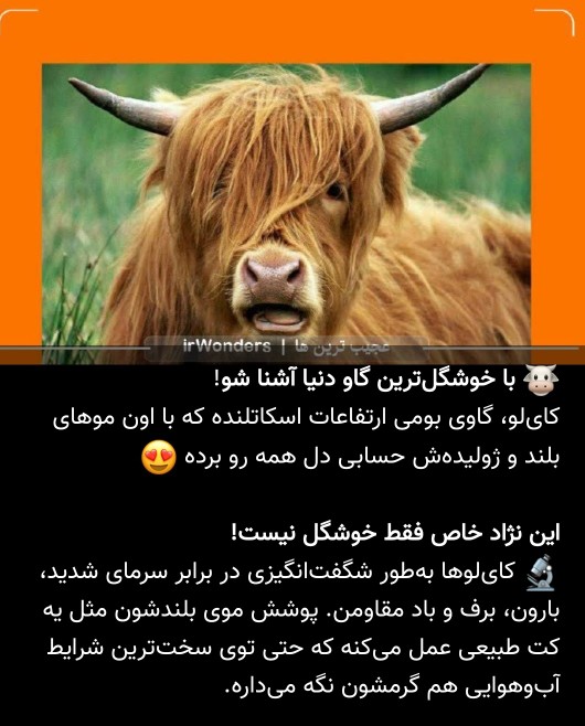 دیدنی‌های 