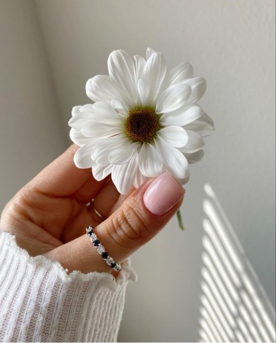 زندگی مثلِ یه...👇🏻