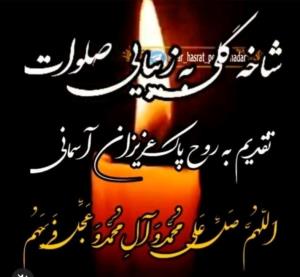 شاخه گلی به زیبایی صلوات هدیه به روح پاک مسافران آسمانی🥀