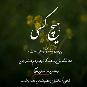 🍃سلام ظهرتون بخیر 🌺الهی دلتون همیشه شاد باشه🍃