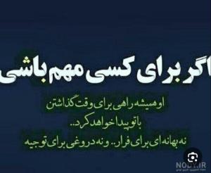 راحت باش