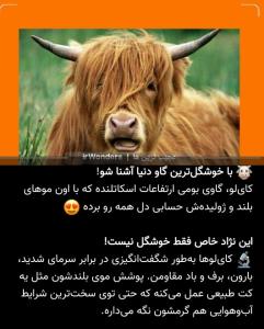 دیدنی‌های 