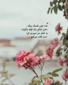 مرد جنوب 