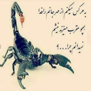 مرد جنوب 