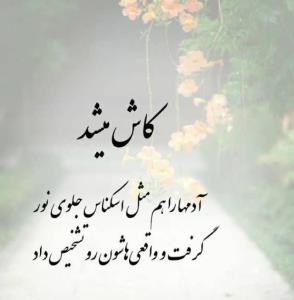 🌹🌹