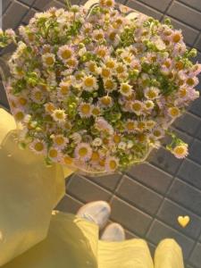 💛