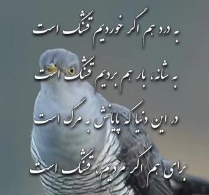ب دردهم اگر خوردیم قشنگه!!!