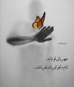 ☘️بدون‌ مخاطب خاص ☘️