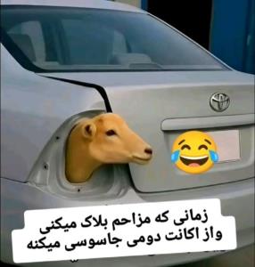 دقیقا  مثل اون👌 