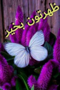 ظهر بخیر ❤️🌸❤️🌸❤️🌸