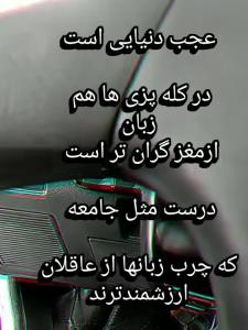 شبگرد تنها 