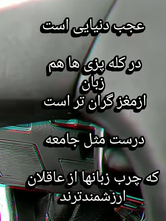 شبگرد تنها 