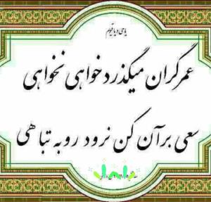 این غافله عمر عجب می گذرد...