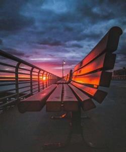 💮
