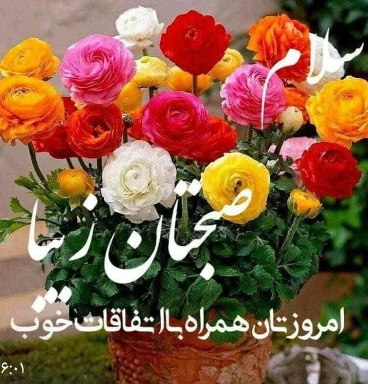 روز بخیر دوستان🌹