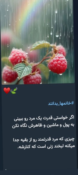 🌹🌹🌹