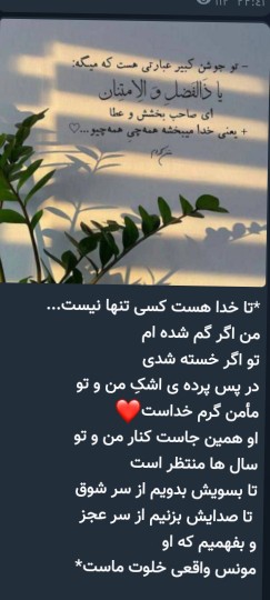 🌹🌹🌹