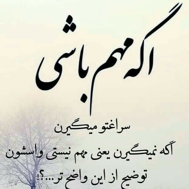 مرد جنوب 