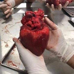 ‌
گردن بشکنین، دِل نه..🙂🖖