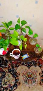زنــــدگی هـــمیشه آن چـــیزی که رسانه ها،
کتــاب ها و مـــد