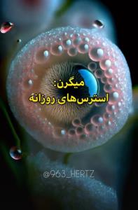 🍂پیام میگرن🍂
