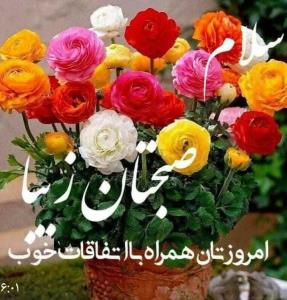 روز بخیر دوستان🌹