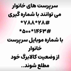 سرپرست خانوار ها 